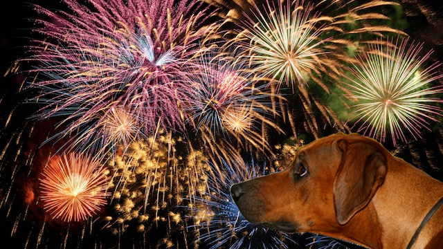 fireworks