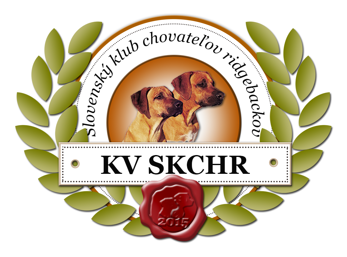 logo kv